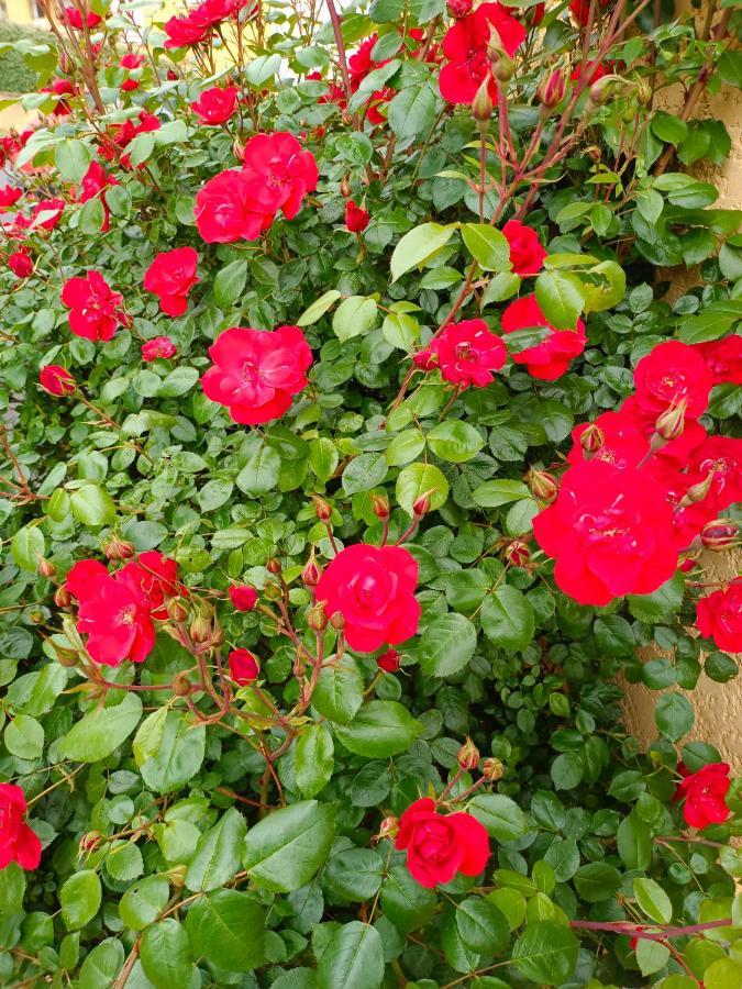 La Maison Des Roses Chadrac Exterior photo